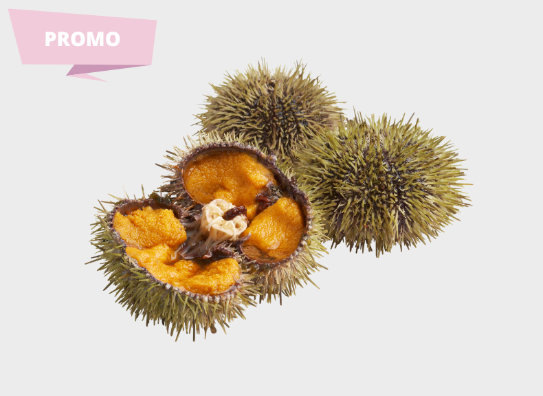 Pescheria Riccio Verde Islandese