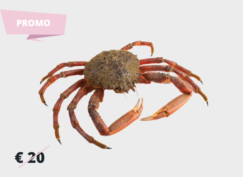 Pescheria Granceola Femmina