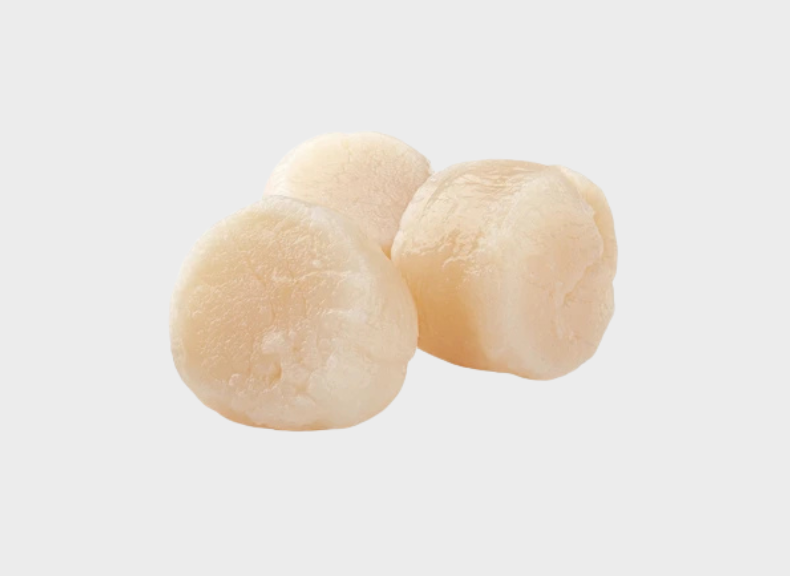 Pescheria Polpa di cappasanta