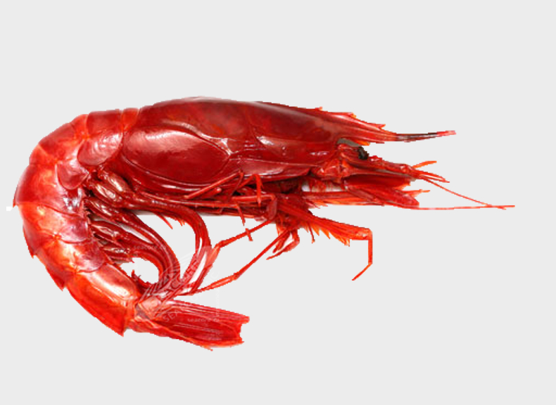 Pescheria Carabineros