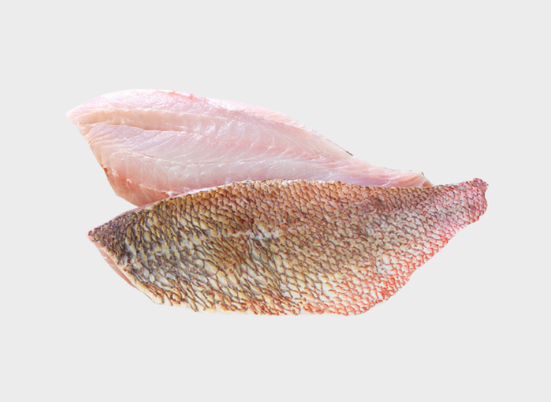 Pescheria Triglia filetto