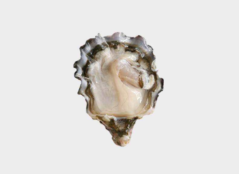 Ostriche Cuore del Delta