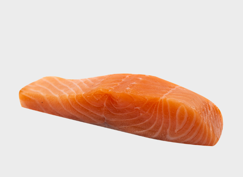 Ocean - Fit Salmone Norvegese