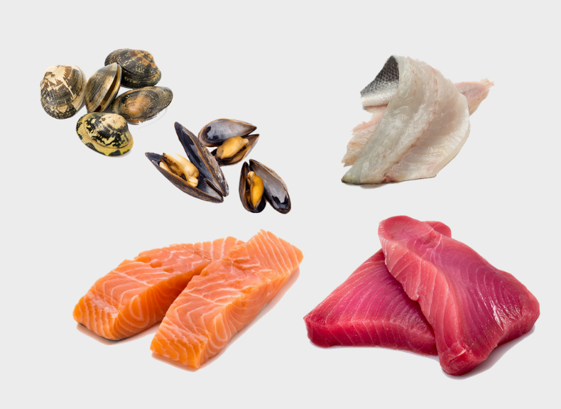 Pescheria Dispensa 10 porzioni