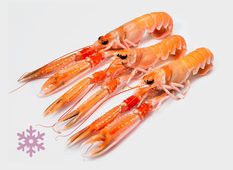 ULTRAFROST Scampone Imperiale